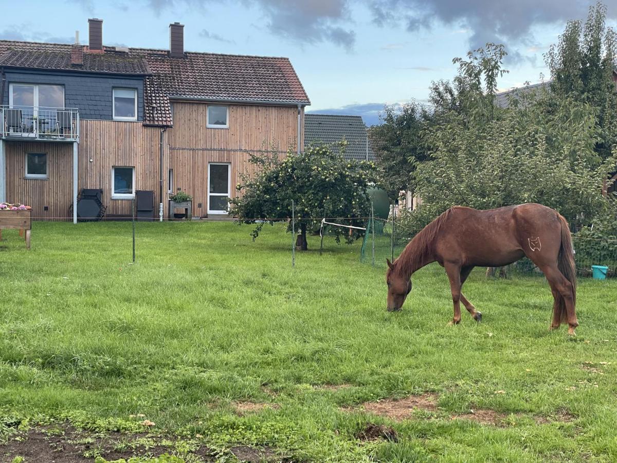 Appartement Urlaub Auf Dem Land à Triepkendorf Extérieur photo